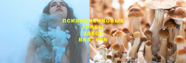 apvp Бронницы
