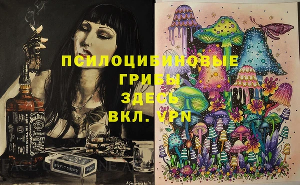 mix Бородино