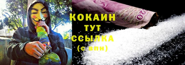 mix Бородино