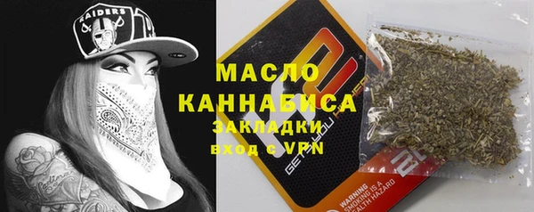 mix Бородино