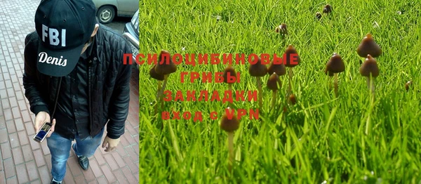 mix Бородино