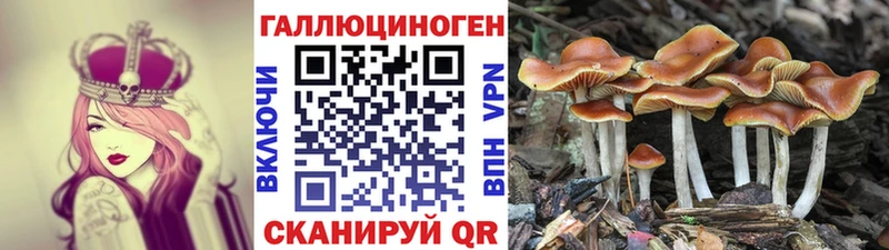 Галлюциногенные грибы GOLDEN TEACHER  Волоколамск 